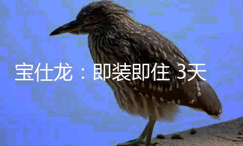 宝仕是龙即越来越头大的事情