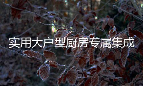蒸汽炉等)任意一款随意搭配