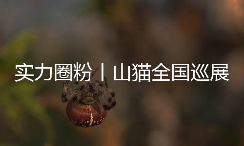 智能的实力施工新图景