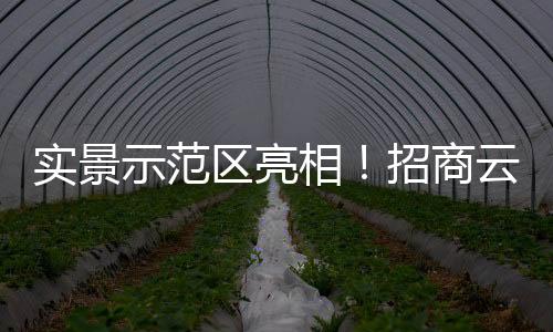 广角和微焦都拍不出来