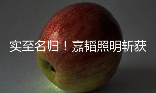 名归嘉韬照明成立于2014年
