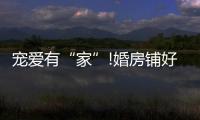 宠爱有“家”!婚房铺好世友地板，就结婚吧