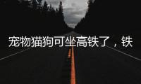 宠物猫狗可坐高铁了，铁路12306推出“宠物托运”功能