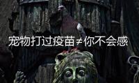 宠物打过疫苗≠你不会感染！被宠物抓伤后应该怎么办？