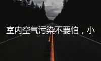 室内空气污染不要怕	，小海鸥贝壳粉还你清新空气!