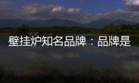 壁挂炉知名品牌：品牌是“亮点” 售后服务树口碑