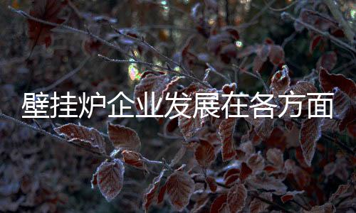 产品是壁挂企业的核心