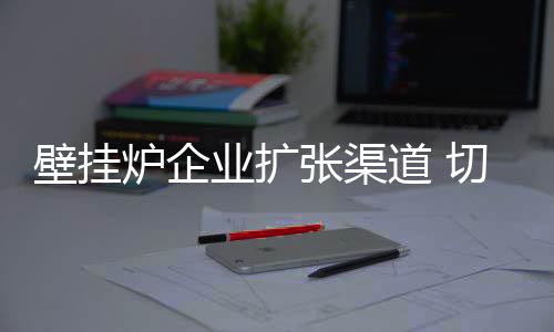 寻找适合自己的壁挂发展之道