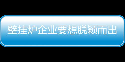 壁挂炉企业需要细分市场