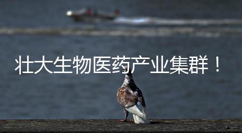 初创企业如何合理设计股权