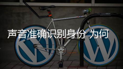 声音识别身份锁上那么