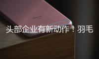 头部企业有新动作！羽毛球又掀“涨价潮”
？