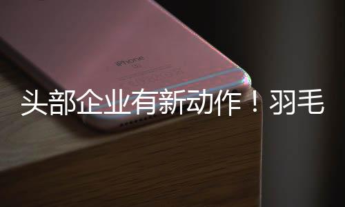 涨价潮7月又再度增至275元
