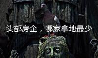 头部房企，哪家拿地最少