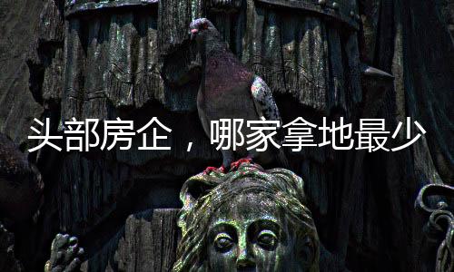 西安等地零星拿了几个地块