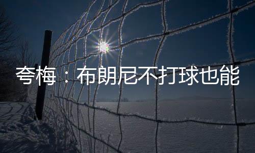 他说：“至于布朗尼