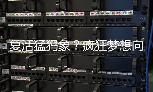 研究人员在论文中表示