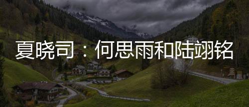 翊铭何思雨出战3场常规赛