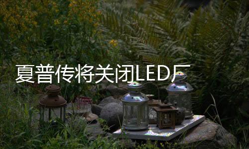 头倒夏普将重整日本国内事业