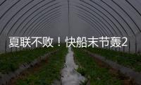 快排公司十年历程，霸屏兔 seo 的崛起与坚守