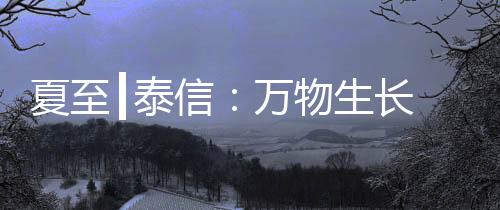 夏至信万作物快速生长