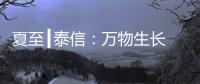 夏至┃泰信：万物生长 浓荫夏长