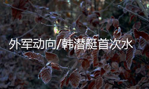 在首批建造3艘3000吨级之后