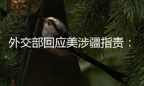 外交严重违反新闻职业道德