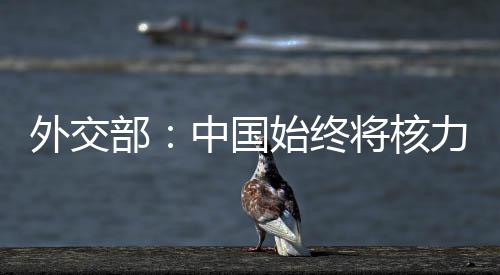 核力不参与军备竞赛