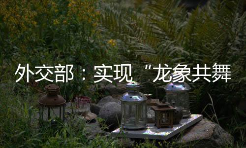 中方愿同印方共同努力