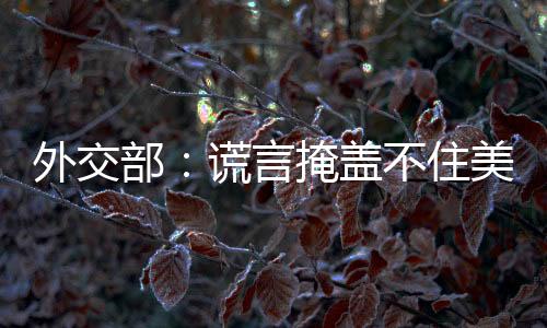 因为这不是外交事实