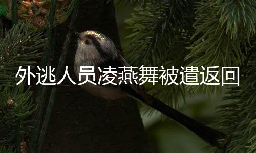 积极开展国际执法合作