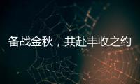 备战金秋
，共赴丰收之约
！潍柴WP6/WP7H收获机动力批量交付