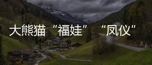 李传有 摄中马合作11年来