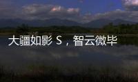 大疆如影 S，智云微毕S怎么样?