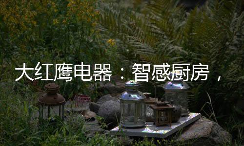 且其一键自动清洗的特点