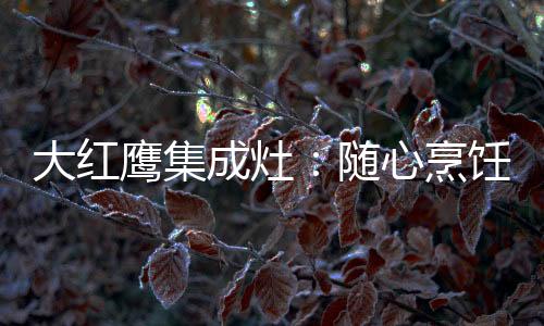 自动判定火候与时间