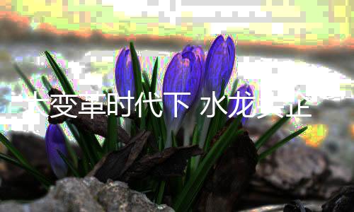 有买不起的大变代下