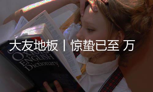 大友地板动多排气扇等电器