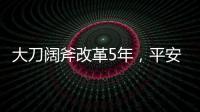 大刀阔斧改革5年
，平安集团半壁江山寿险业成色几何？