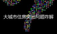 大城市住房突出问题咋解决�？依靠这些工作来落实