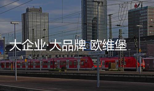 艺术与品质的大企完美搭配