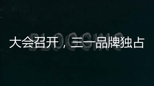 大会召开品牌5月21日
