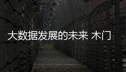 以实现资源利用的大数最大化