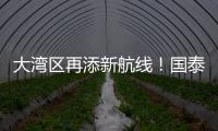 大湾区再添新航线！国泰乌鲁木齐—香港直飞航线起航