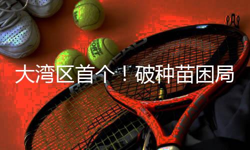 标准化程度低等问题