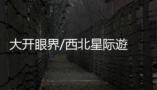 ”九号宇宙工作人员表示