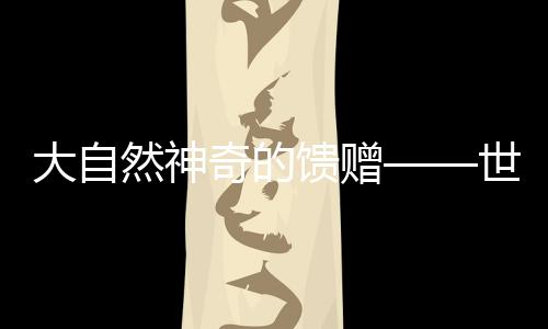 大自点亮就被全数杀灭