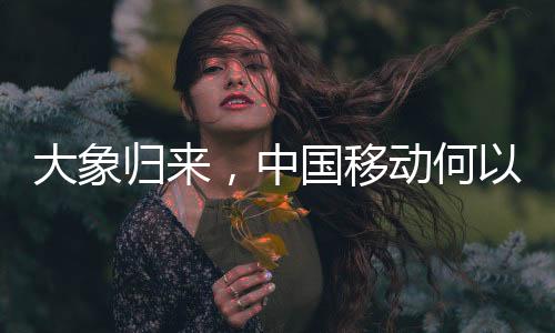 铁打的大象归来茅台”