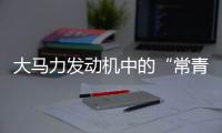 大马力发动机中的“常青树”�，动力强者的硬核人生
